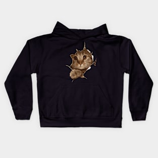 Sweet Kitten Torn Cat Cat Owner Cat Lady Kids Hoodie